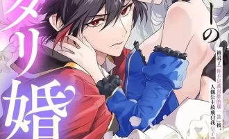 《美丽人偶的完美婚约》漫画完结PDF|JPG|EPUB下载