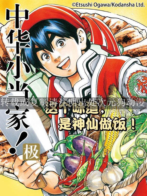 《中华小当家-极》漫画完结PDF|JPG|EPUB下载