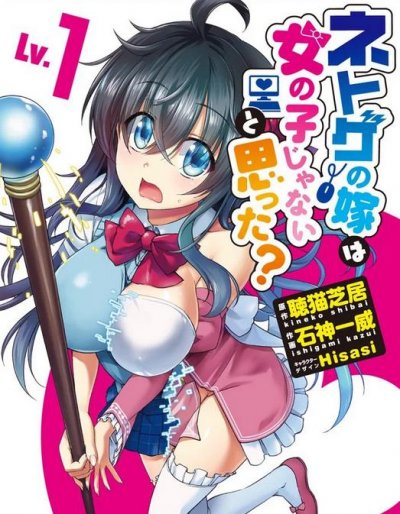 《线上游戏的老婆不可能是女生》漫画完结下载