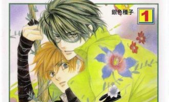《银色钻石》漫画完结全集免费下载 夸克网盘 PDF+EPUB
