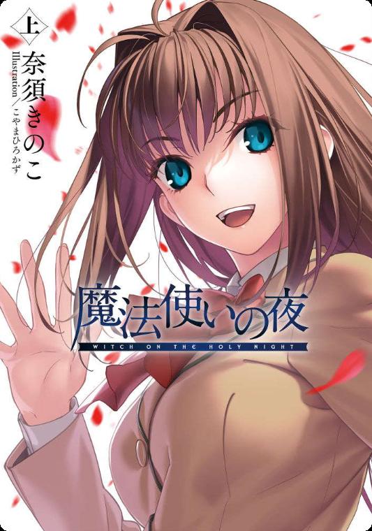 《魔法使之夜》小说完结全集免费下载 夸克网盘 EPUB 《魔法使之夜》小说完结全集免费下载 夸克网盘 EPUB