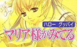 《圣母在上》小说完结全集免费下载 夸克网盘 EPUB